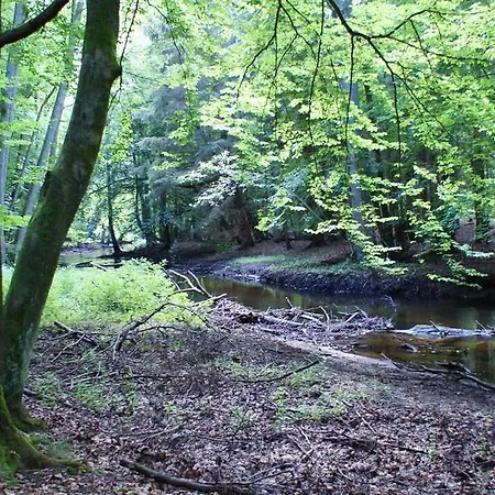 Pansiyon Tawerna Panorama