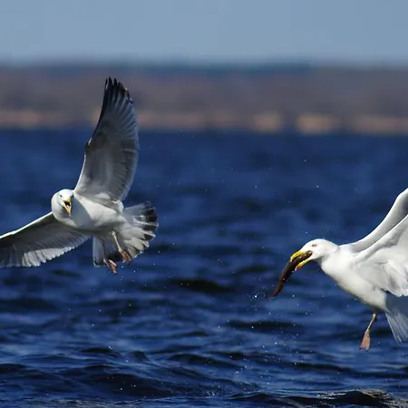 Tawerna Panorama Accommodatie bij particulieren
