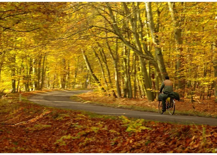 Tawerna Panorama Séjour chez l'habitant *