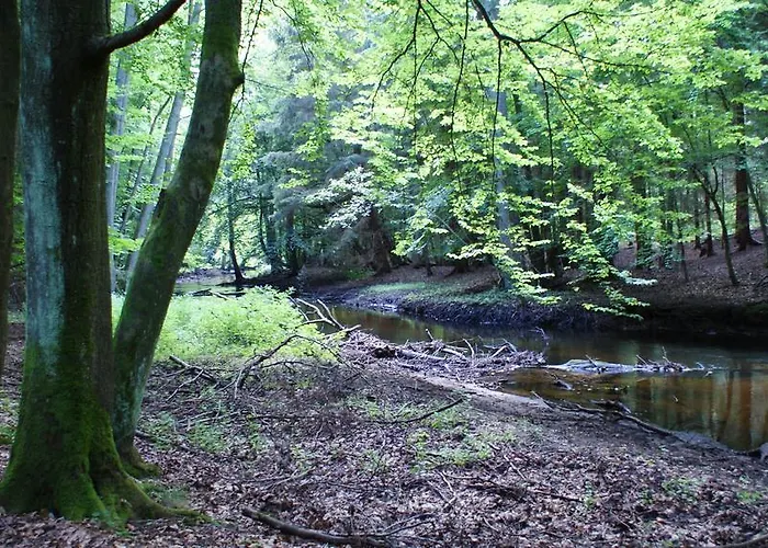 Séjour chez l'habitant Tawerna Panorama