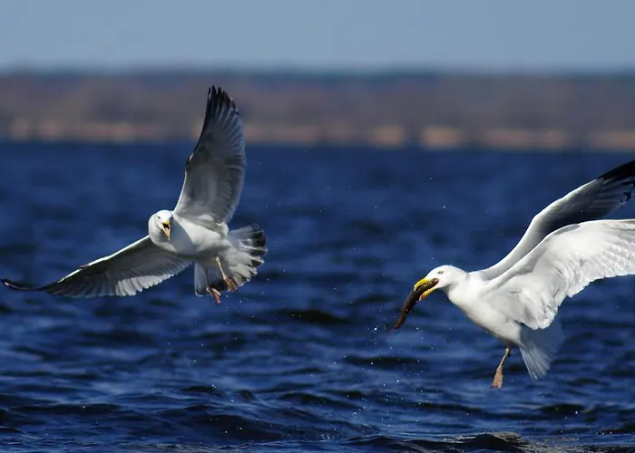 Tawerna Panorama Séjour chez l'habitant